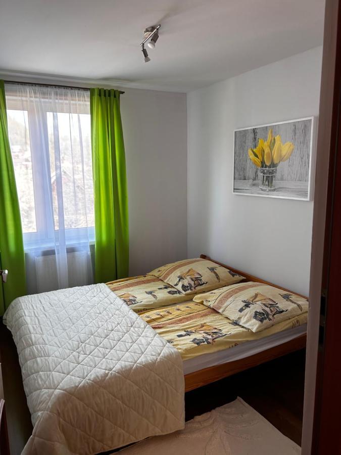 Apartament Nad Grajcarkiem Pieniny Szczawnica Zewnętrze zdjęcie